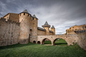Fleuriste Carcassonne